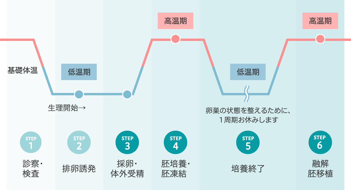 体外受精の流れ